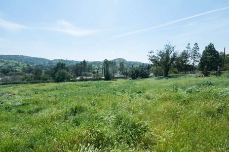 Enlarge photo 105
