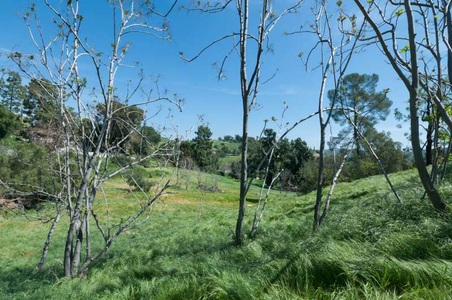 Enlarge photo 106