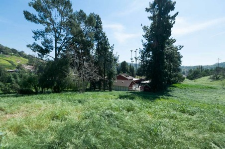 Enlarge photo 133