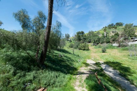 Enlarge photo 138