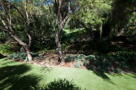 Enlarge photo 63