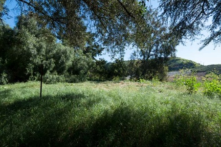 Enlarge photo 102