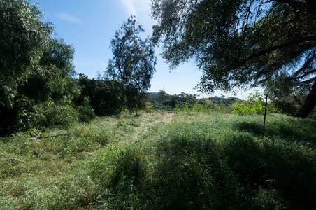 Enlarge photo 104