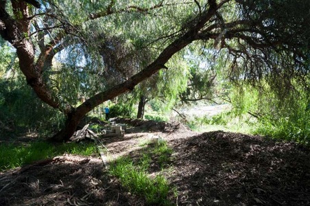 Enlarge photo 105
