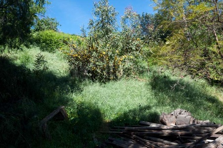 Enlarge photo 107
