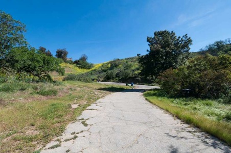 Enlarge photo 119
