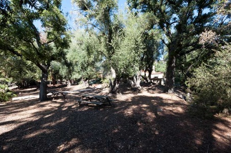 Enlarge photo 117