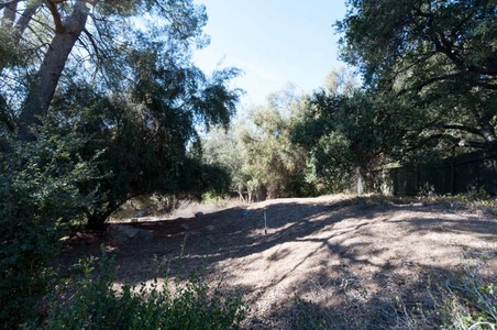 Enlarge photo 121