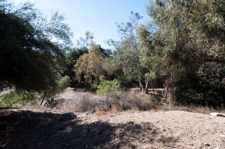 Enlarge photo 122