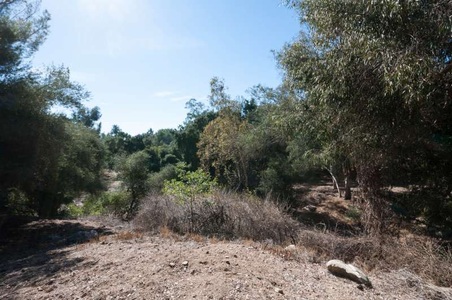 Enlarge photo 123