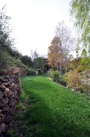Enlarge photo 62