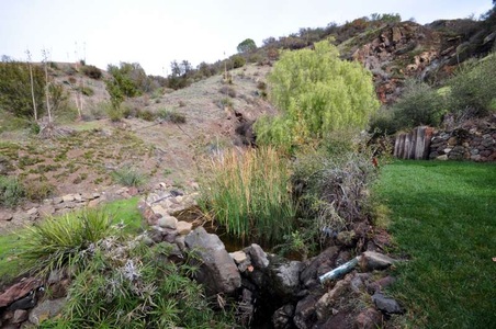 Enlarge photo 64