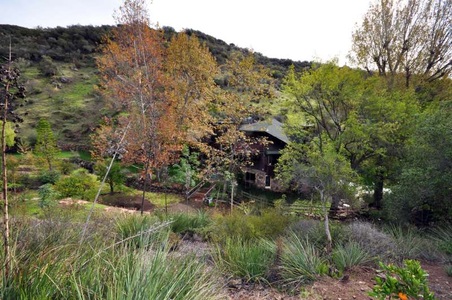 Enlarge photo 107