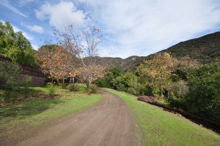 Enlarge photo 116