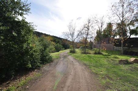 Enlarge photo 117