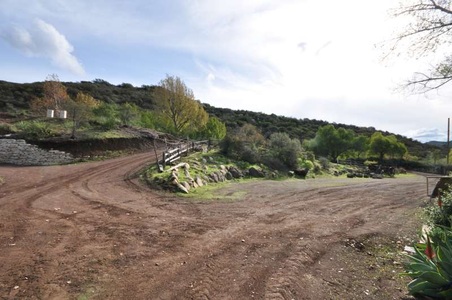 Enlarge photo 118