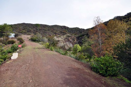 Enlarge photo 119