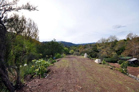 Enlarge photo 120