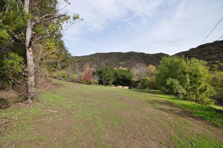 Enlarge photo 127