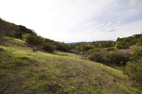 Enlarge photo 142