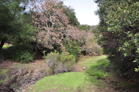 Enlarge photo 146