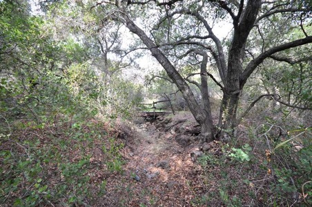 Enlarge photo 148