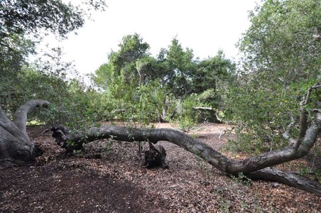 Enlarge photo 150