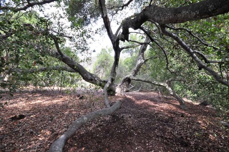 Enlarge photo 151