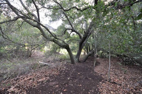Enlarge photo 152