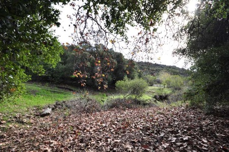 Enlarge photo 153