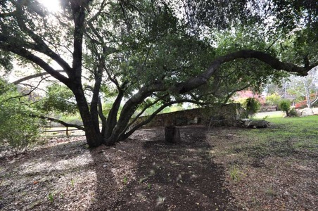 Enlarge photo 154
