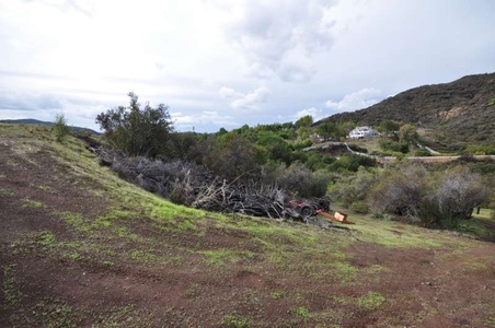 Enlarge photo 156