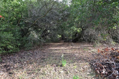 Enlarge photo 157