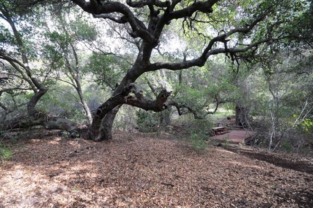 Enlarge photo 158