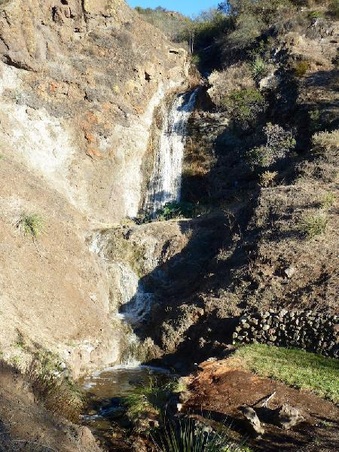 Enlarge photo 162