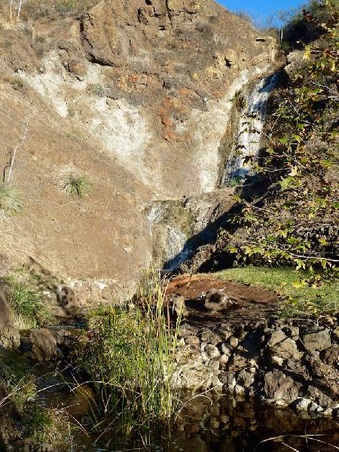 Enlarge photo 164