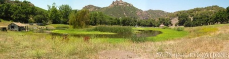 Enlarge photo 6