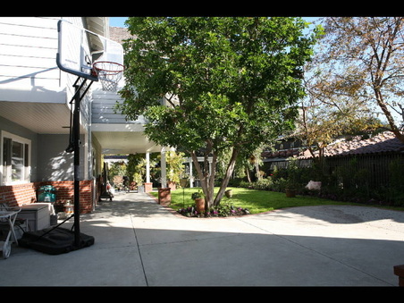 Enlarge photo 37