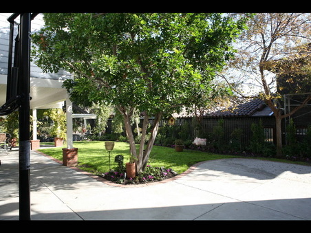 Enlarge photo 39
