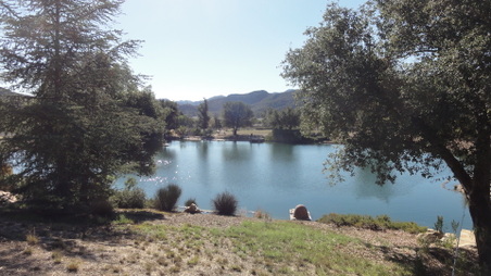 Enlarge photo 5