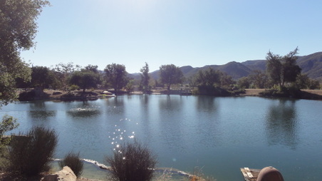 Enlarge photo 6