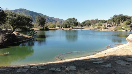 Enlarge photo 1