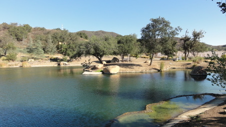 Enlarge photo 13