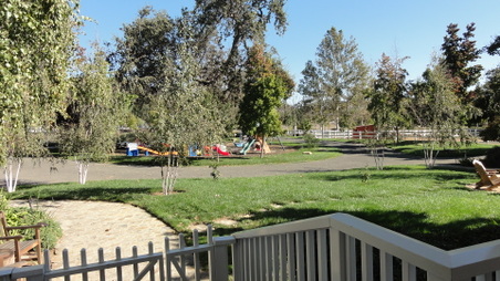 Enlarge photo 16