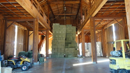 Enlarge photo 30