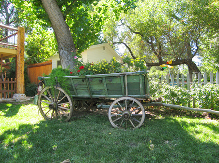 Enlarge photo 11