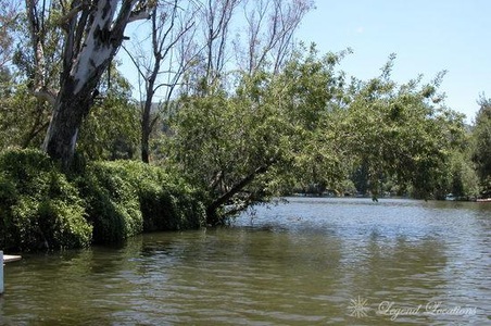 Enlarge photo 20