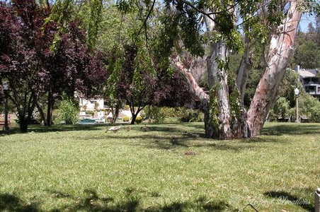 Enlarge photo 27