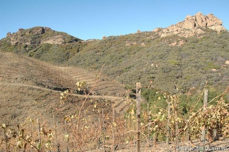 Enlarge photo 10
