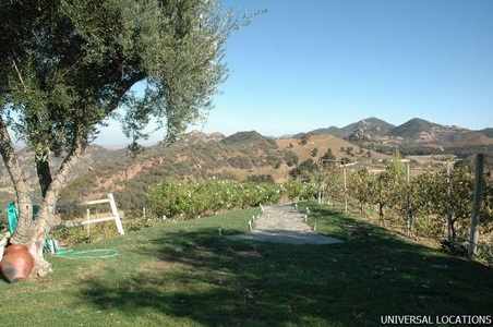 Enlarge photo 16